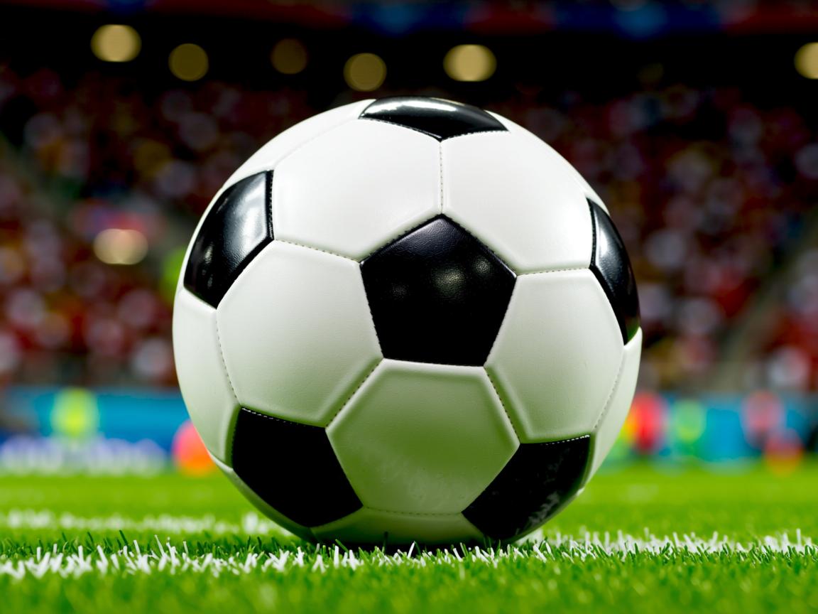 开云体育入口-Chinese Taipei奋斗不息,2024年乒乓世界杯热血开启,2024世界乒乓球锦标赛 第2张