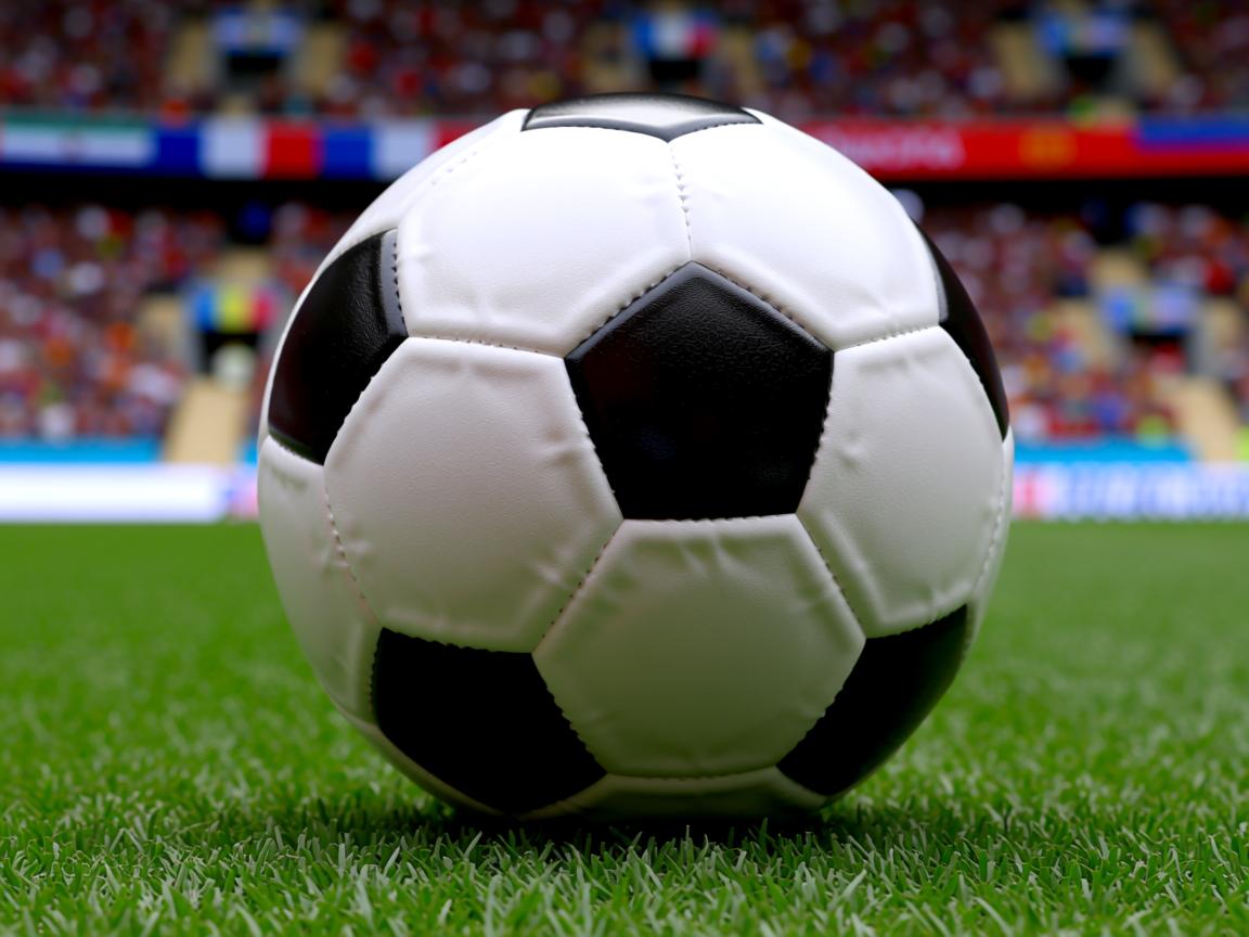 开云体育官网app-Chinese Taipei崭露头角,2024年世界杯进步显著,2024年世界杯在哪儿 第2张