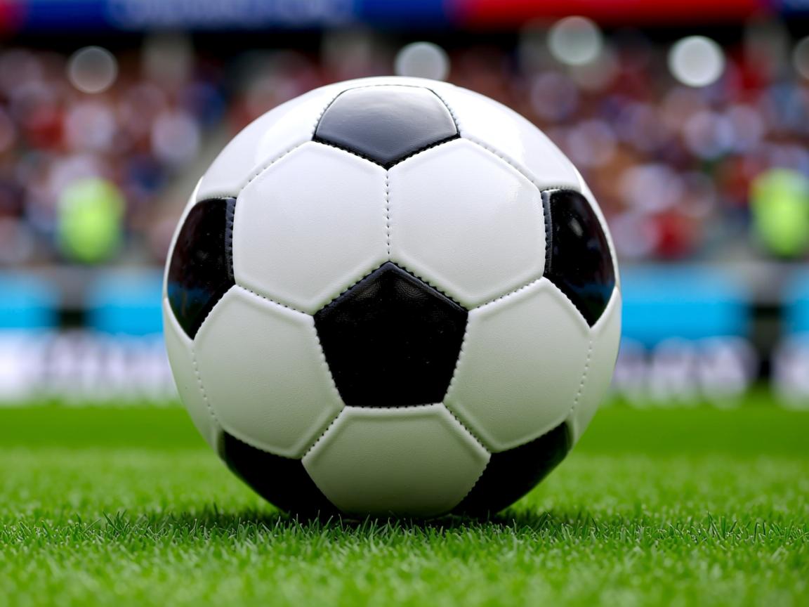 开云体育链接-世界杯中国队晋级 球迷士气高涨不已,世界杯中国队进去的可能性 第2张